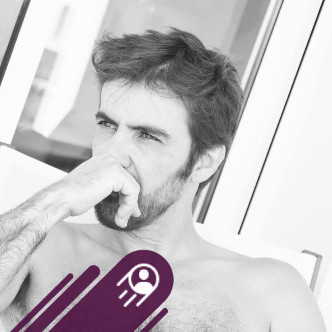 Profil de Thybo